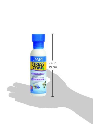 API Stress Zyme close-up of live bacteria for healthy aquarium biology