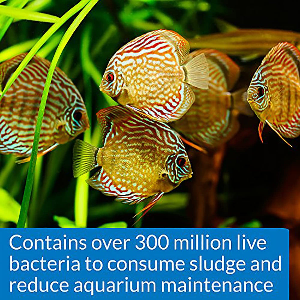 API Stress Zyme in a freshwater tank shows application routine
