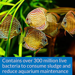 API Stress Zyme in a freshwater tank shows application routine