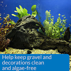 API Stress Zyme in a saltwater tank promotes stable bacteria balance