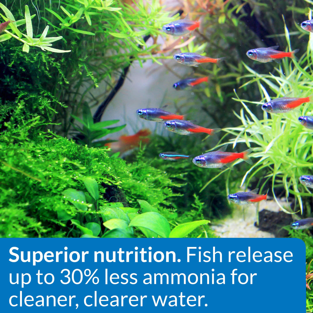 API Tropical Greens Flakes in aquarium illustrate cleaner water with less waste.