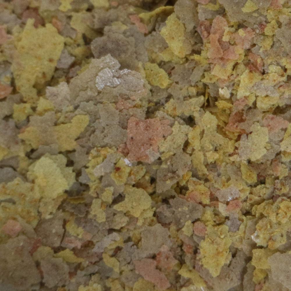 API Tropical Greens Flakes closeup shows textured flakes ideal for herbivorous tropical fish.