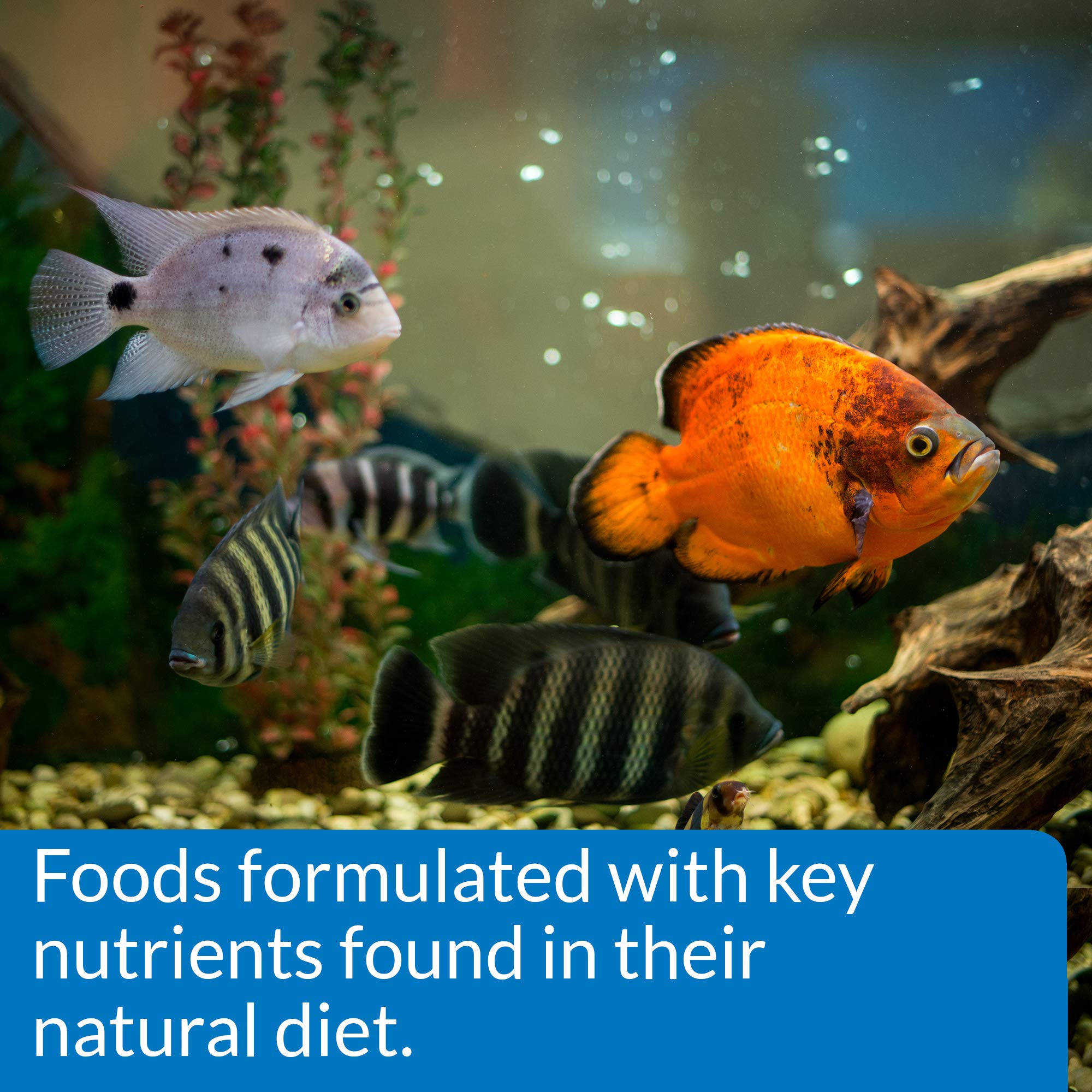 API Tropical Greens Flakes color boost helps fish show brighter hues.