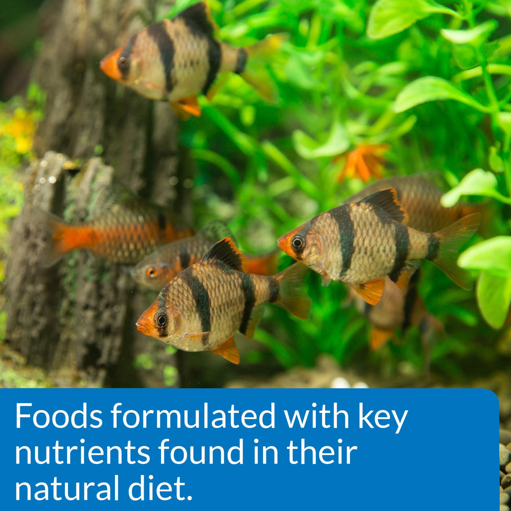 API Tropical Mini Pellets packaging communicates balanced nutrition for community fish
