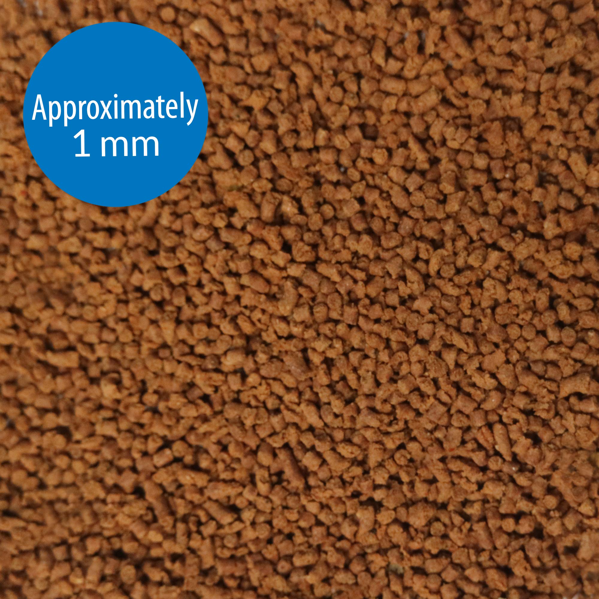 API Tropical Mini Pellets pellets closeup reveals protein-rich ingredients for growth