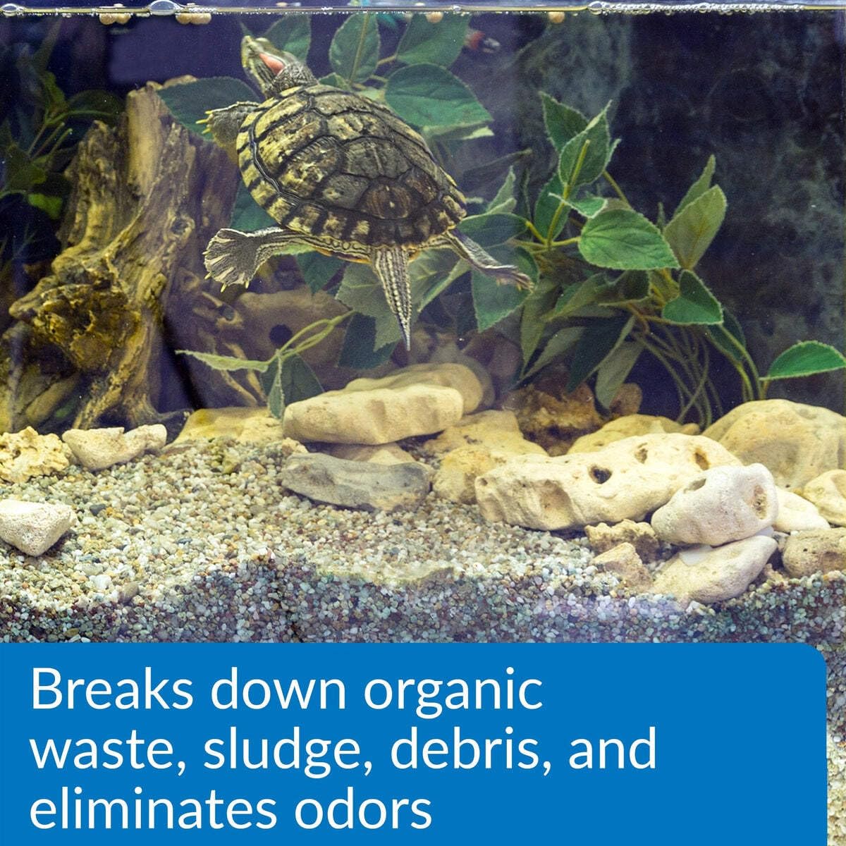 API Turtle Sludge Destroyer odor-control scene highlights odor reduction in tanks.