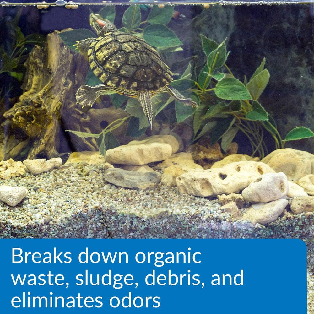 API Turtle Sludge Destroyer odor-control scene highlights odor reduction in tanks.