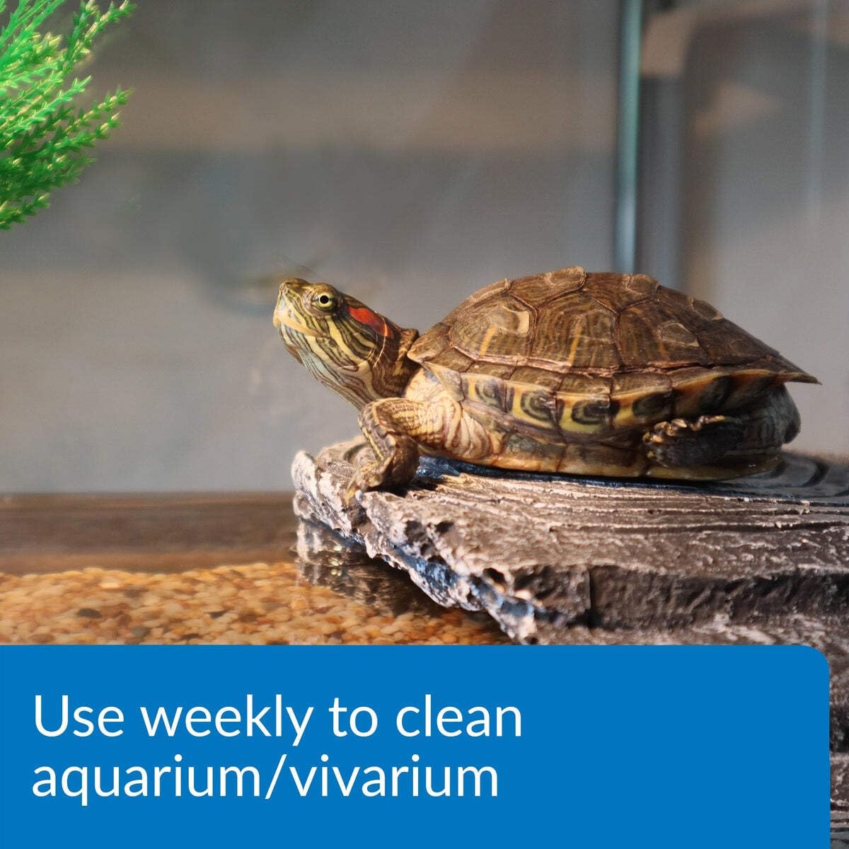 API Turtle Sludge Destroyer tank-cleaning action shows visible sludge reduction over time.