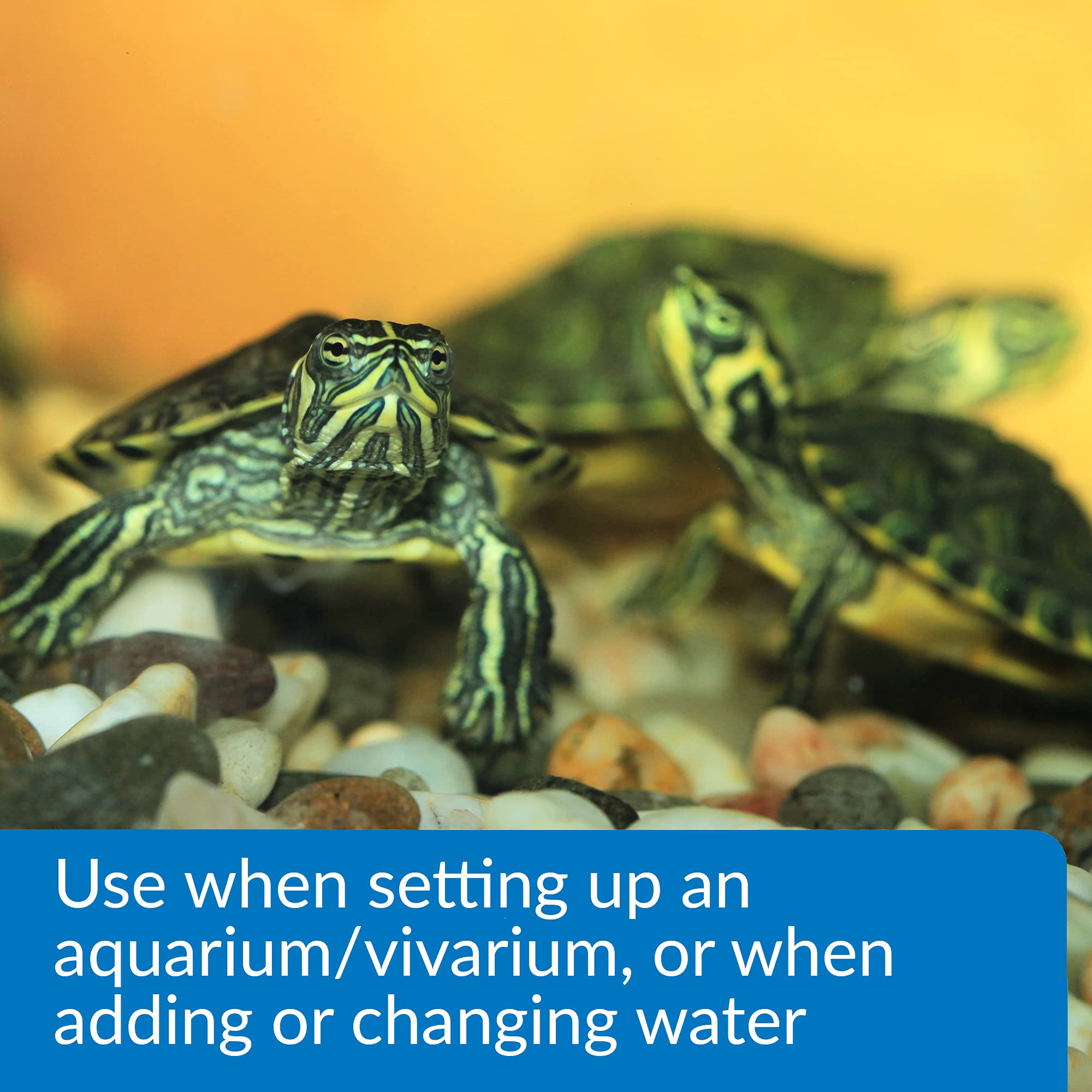 API Turtle Water Conditioner label detail highlights chlorine and chloramines removal
