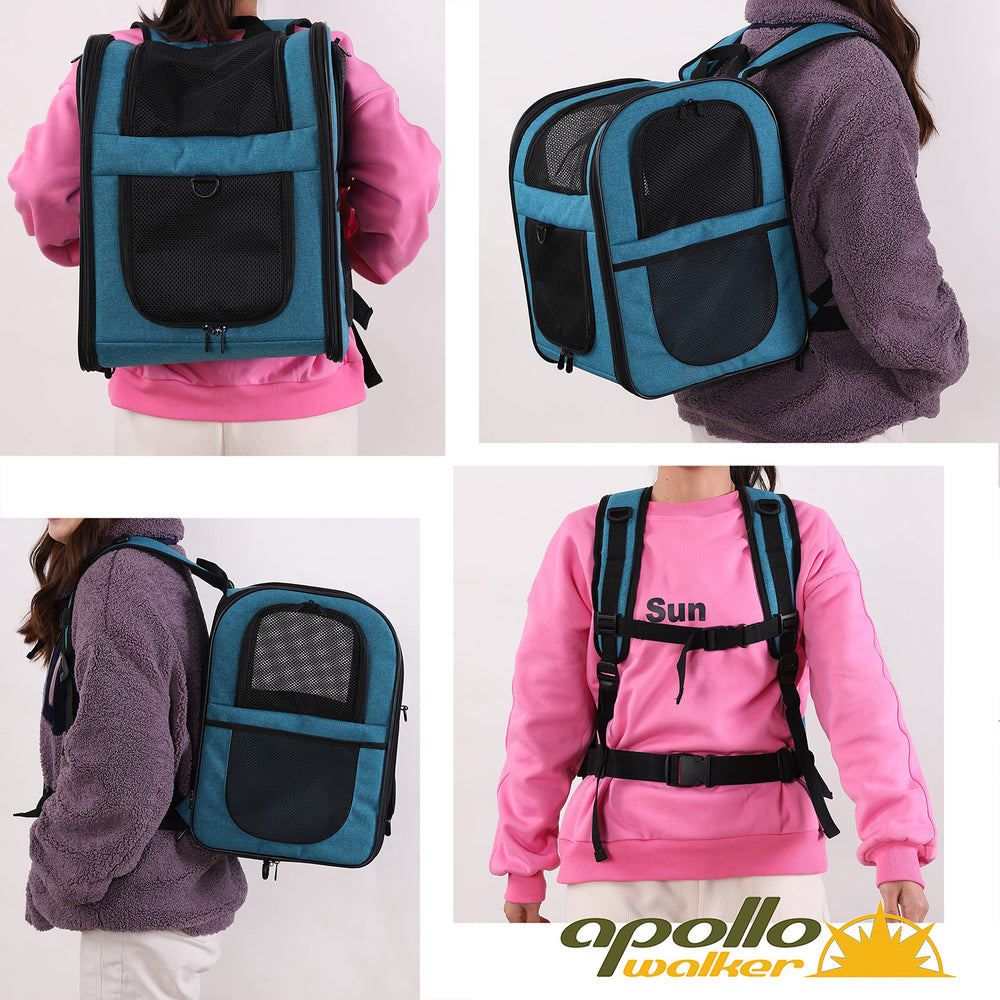 Apollo Walker teal pet inside image shows relaxed, secure travel experience