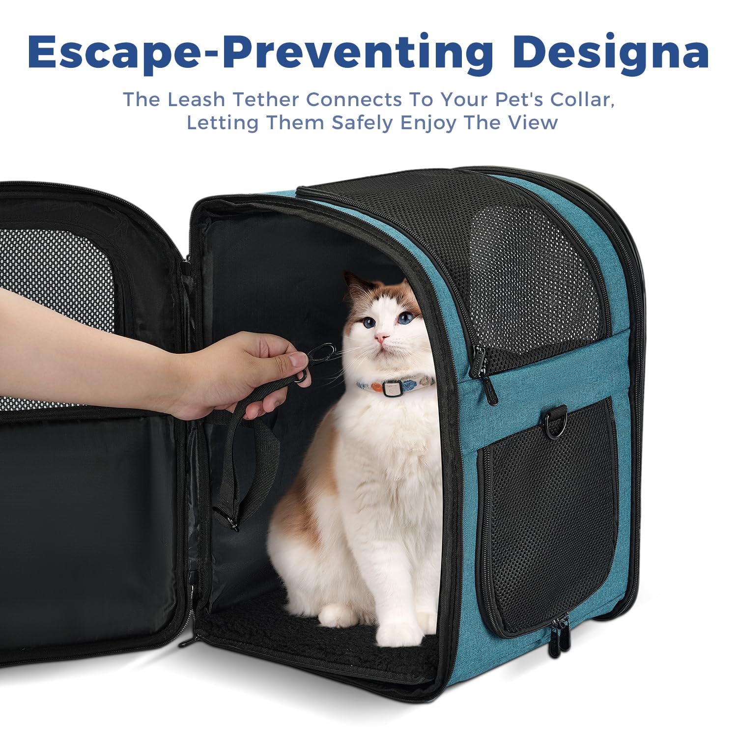 Apollo Walker carrier back panel angle emphasizes airflow for cooler, relaxed pets