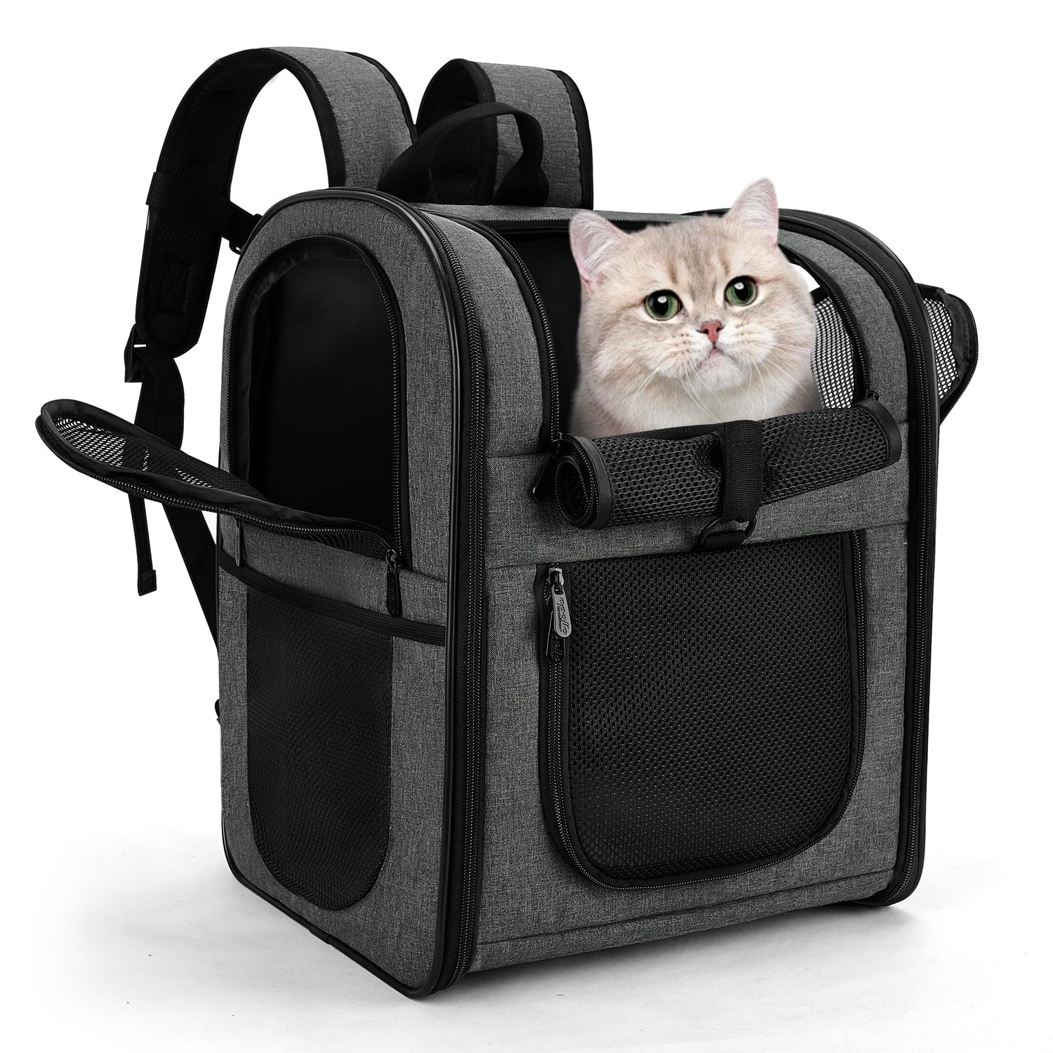 Apollo Walker Pet Carrier Backpack close-up shows secure design for travel and anxious pets.