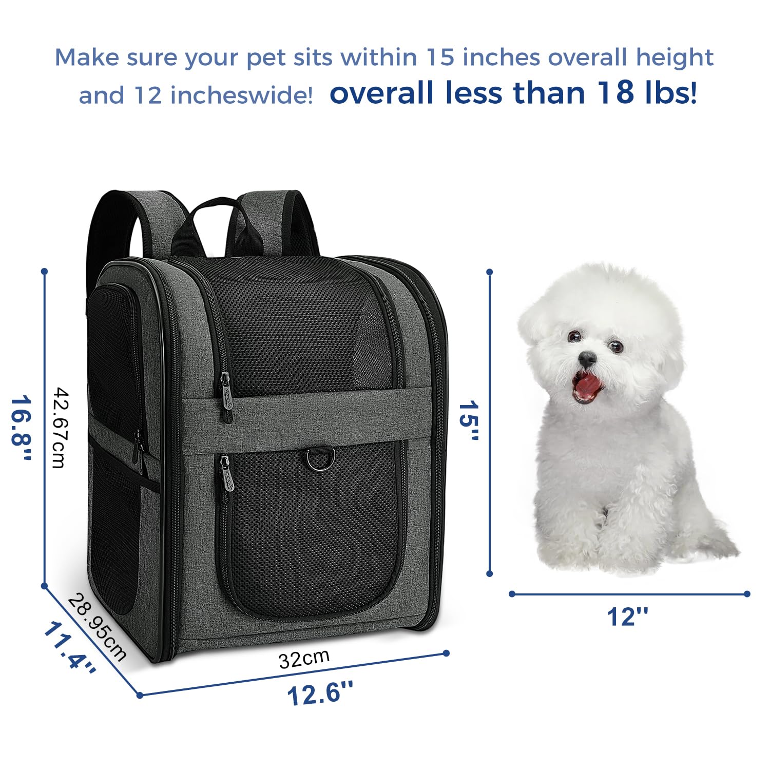 Apollo Walker interior cushion demonstrates cozy space for small pets during vet visits.
