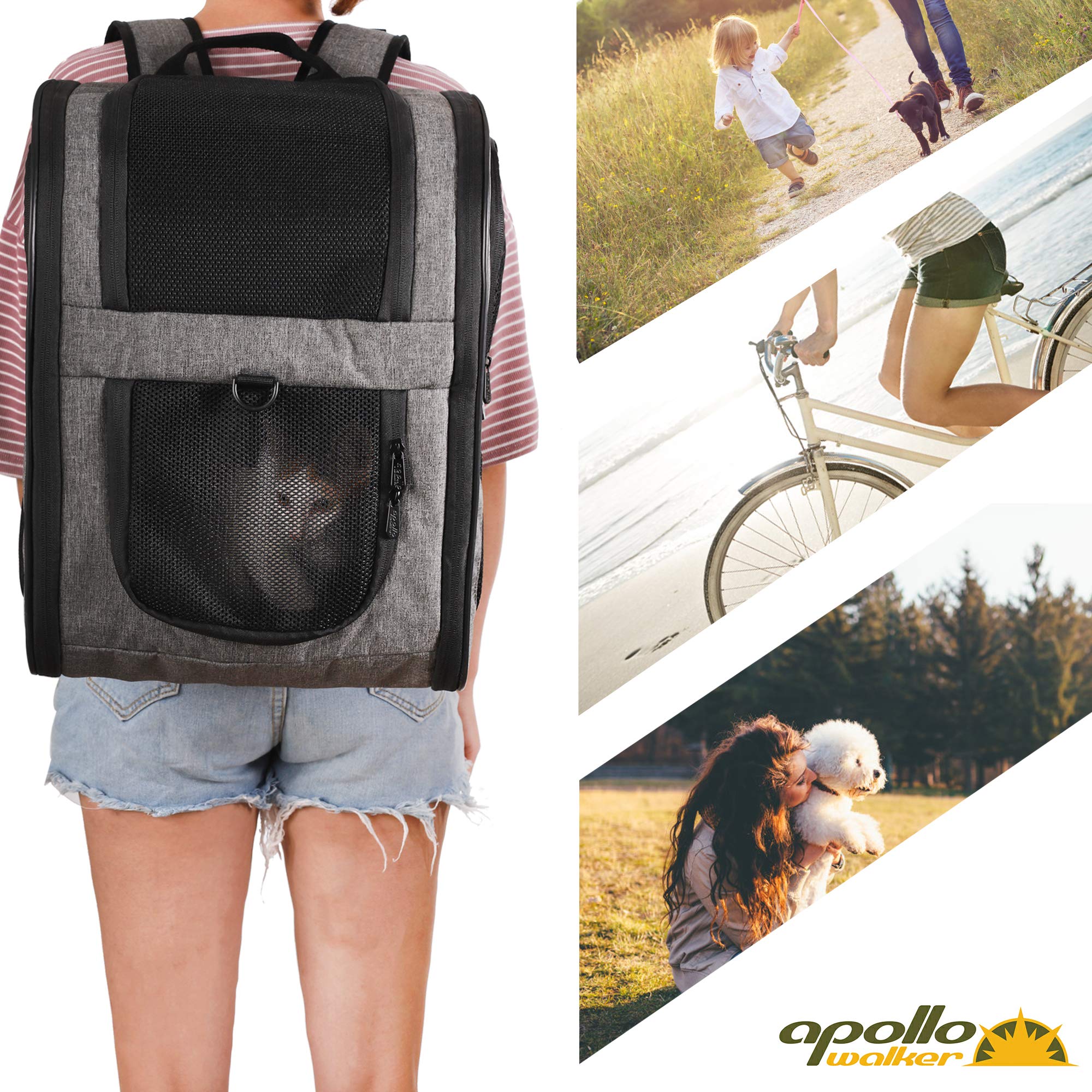 Apollo Walker removable pad scene promotes quick cleanup after outdoor trips.