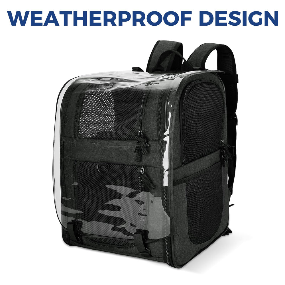 Apollo Walker pet carrier backpack padded straps for comfortable long-trips wear.