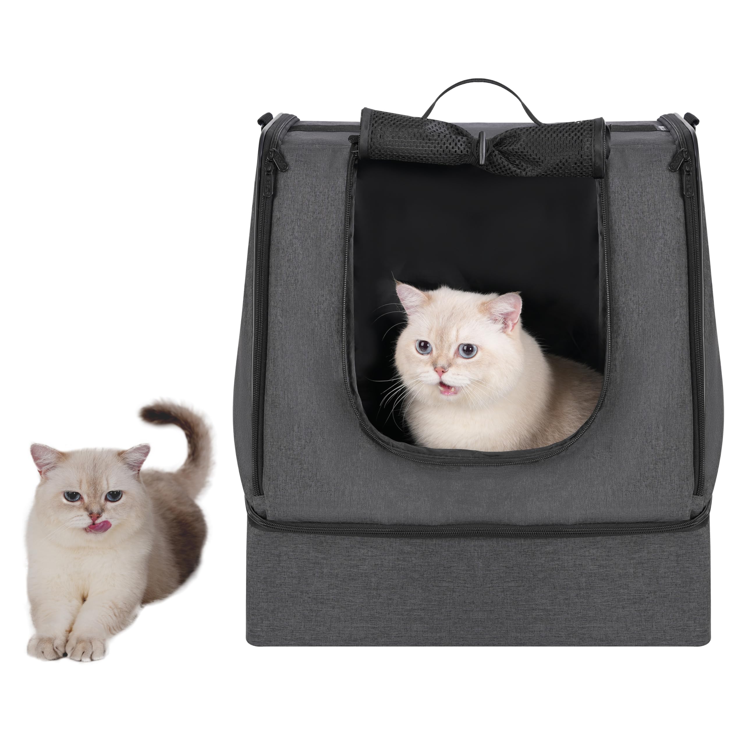 Apollo Walker side buckles hold scoop and bowl for organized travel accessories.