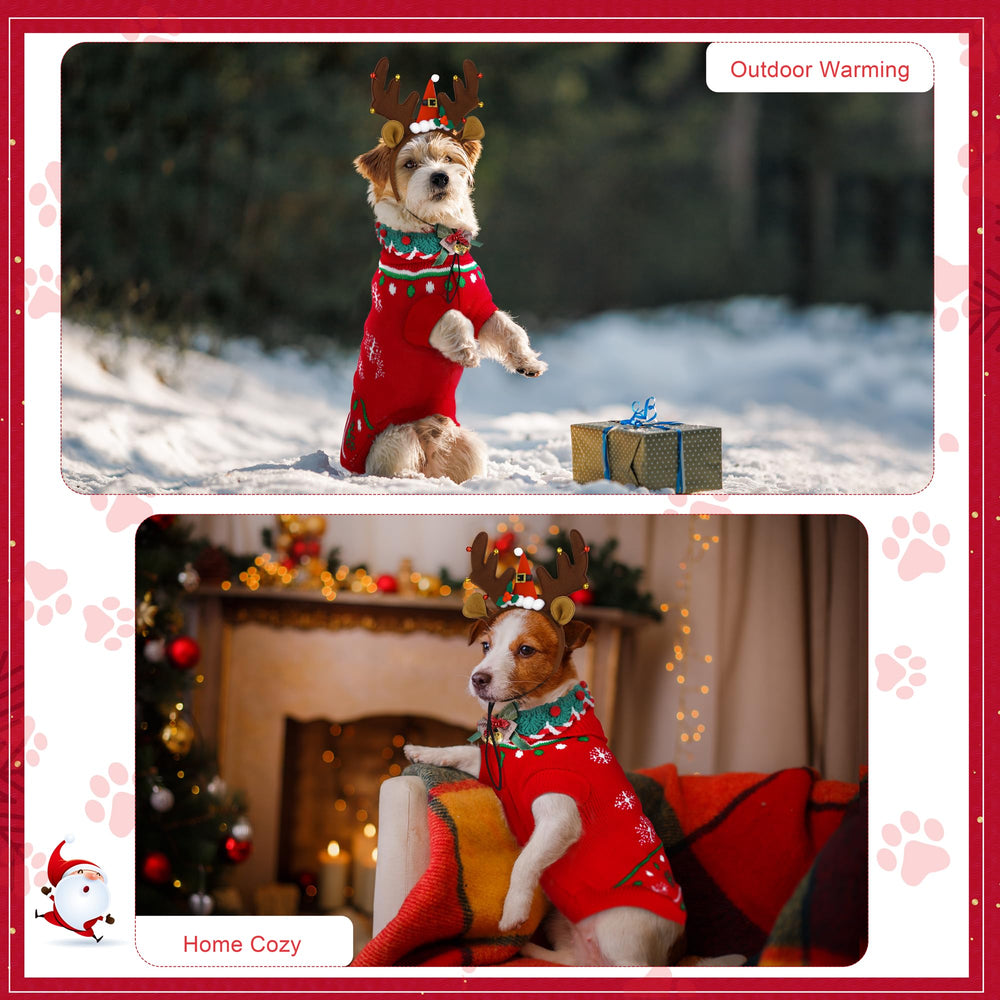 Apoway 3-in-1 dog costume set ready for holiday occasions