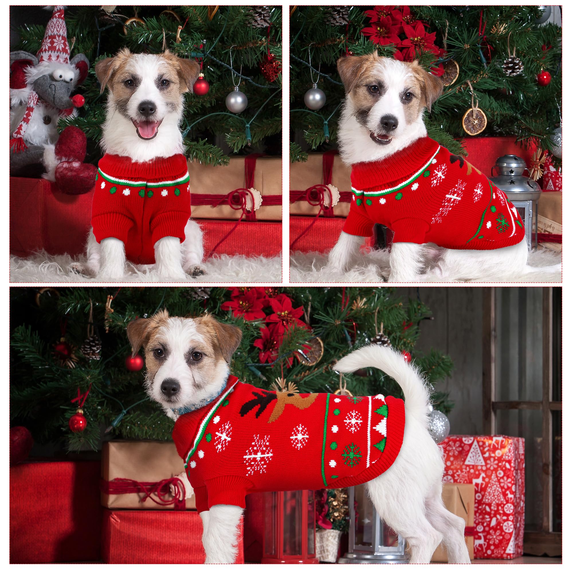 Apoway knitwear keeps dogs cozy during chilly winter outings