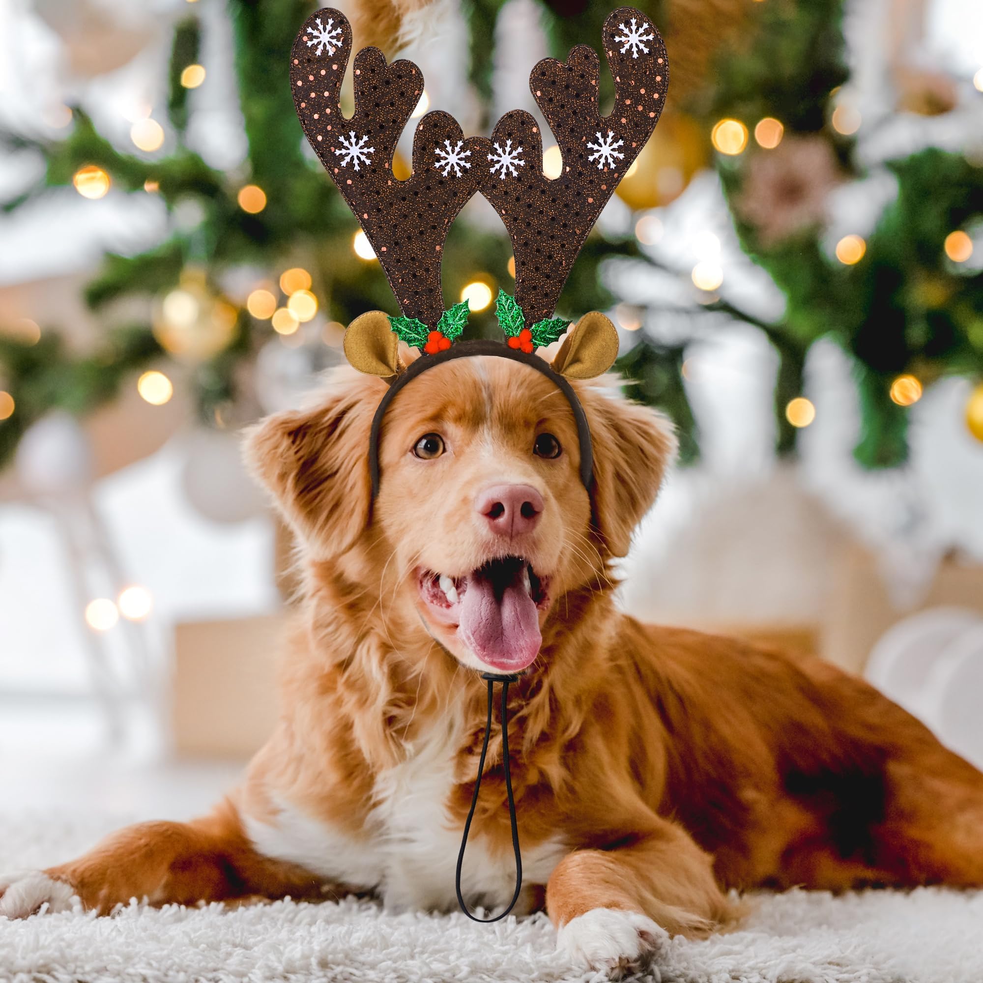 Apoway pet wearing headbands during Christmas celebration