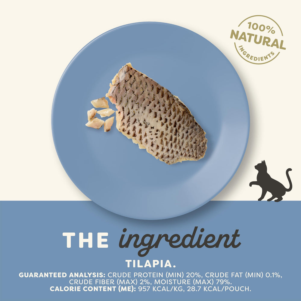 Applaws cat enjoys tilapia treat closeup, ideal for rewarding good behavior.