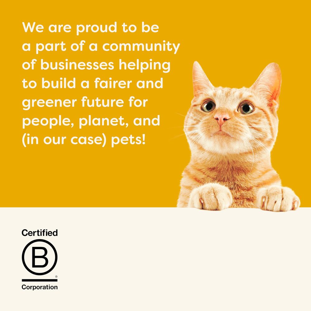 Applaws complete dry cat food natural ingredients emphasis without artificial additives.