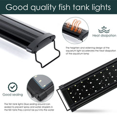 AQQA color modes highlight White, Blue, Red, Green for aquarium ambiance