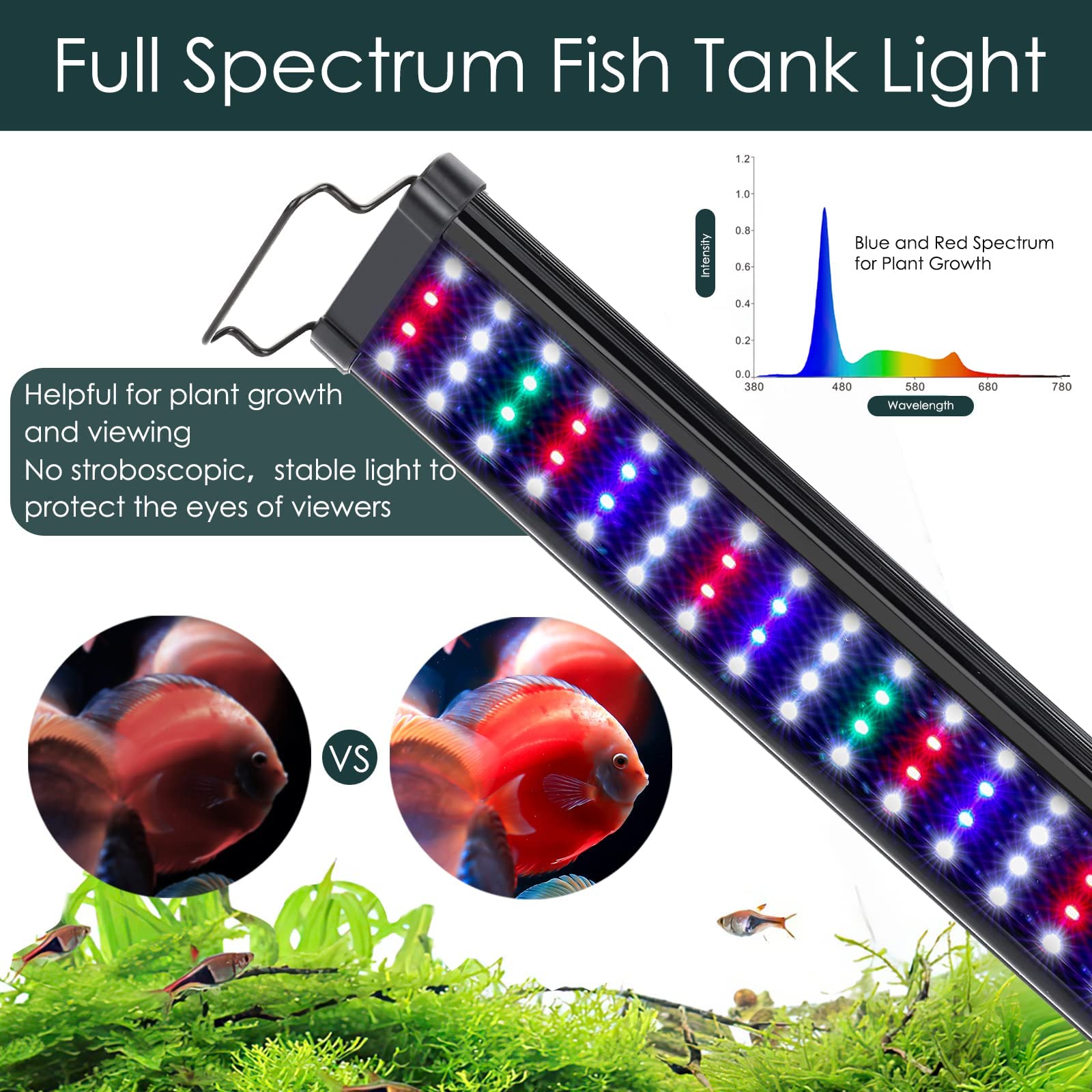 AQQA LED diodes close-up show high-CRI LEDs for vibrant colors