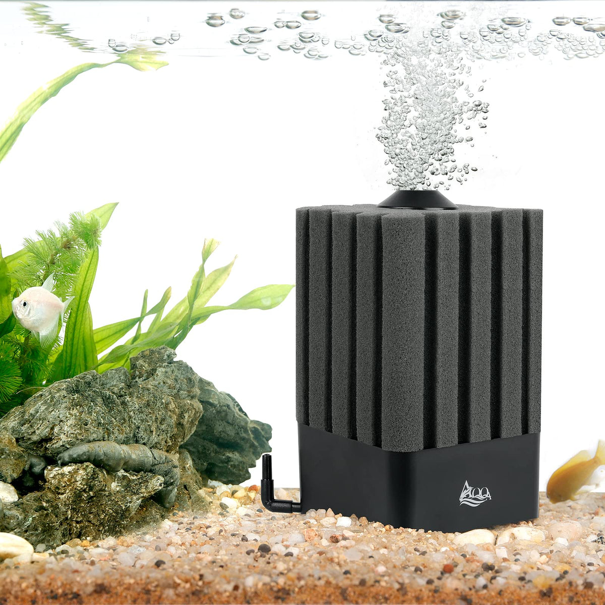 AQQA aquarium sponge filter in quiet operation for peaceful fish viewing