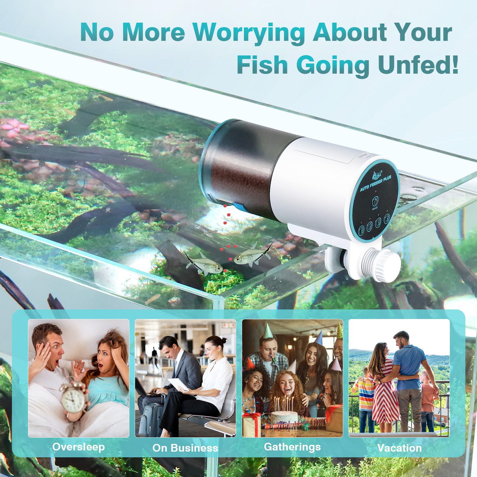 AQQA warranty and support promise reliable post-purchase care.