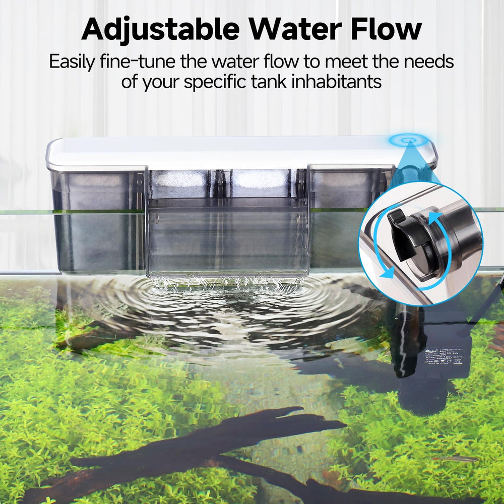 AQQA Quiet Hang-On-Back filter demonstrates easy installation for quick setup.
