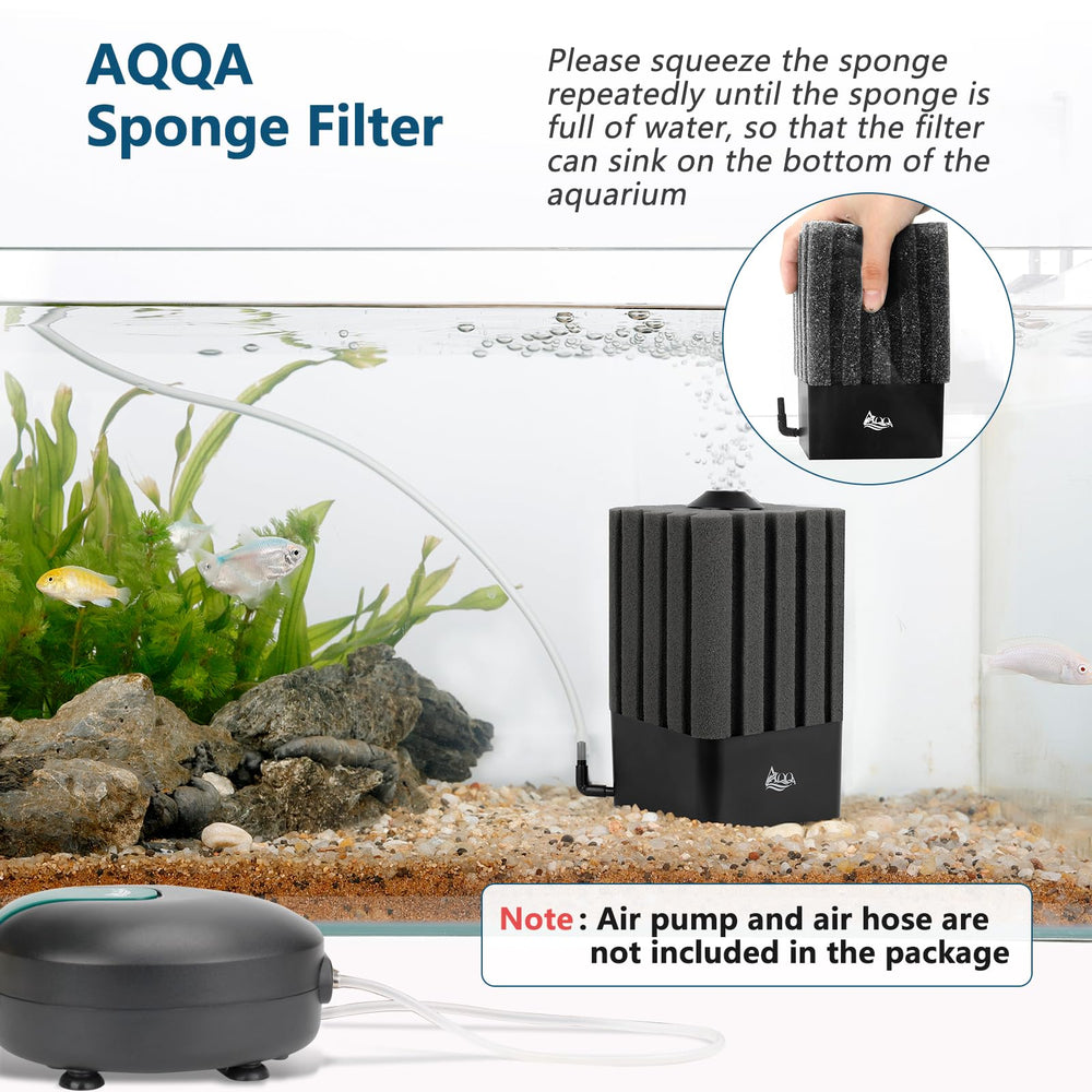 AQQA sponge filter showing mechanical and biological filtration in water