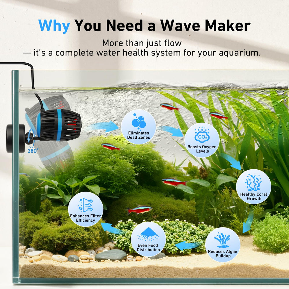 AQQA tank setup shows natural currents supporting healthier aquatic life