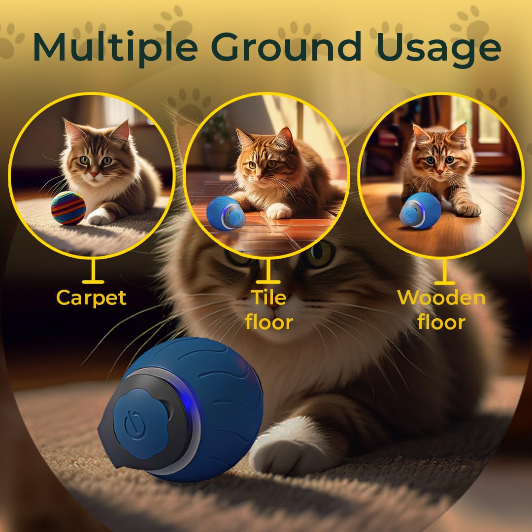 AQTELYA Speedy Tail 3.0 blue dynamic movement capturing lively chase action