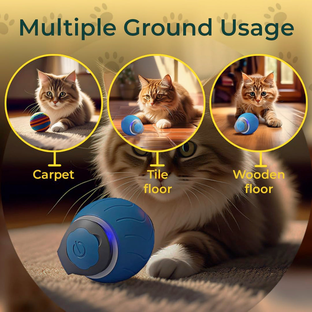 AQTELYA Speedy Tail 3.0 blue dynamic movement capturing lively chase action