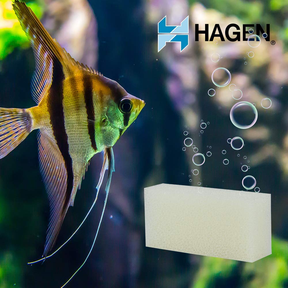 AquaClear 50 foam filter insert in aquarium scene enhances flow and filtration.