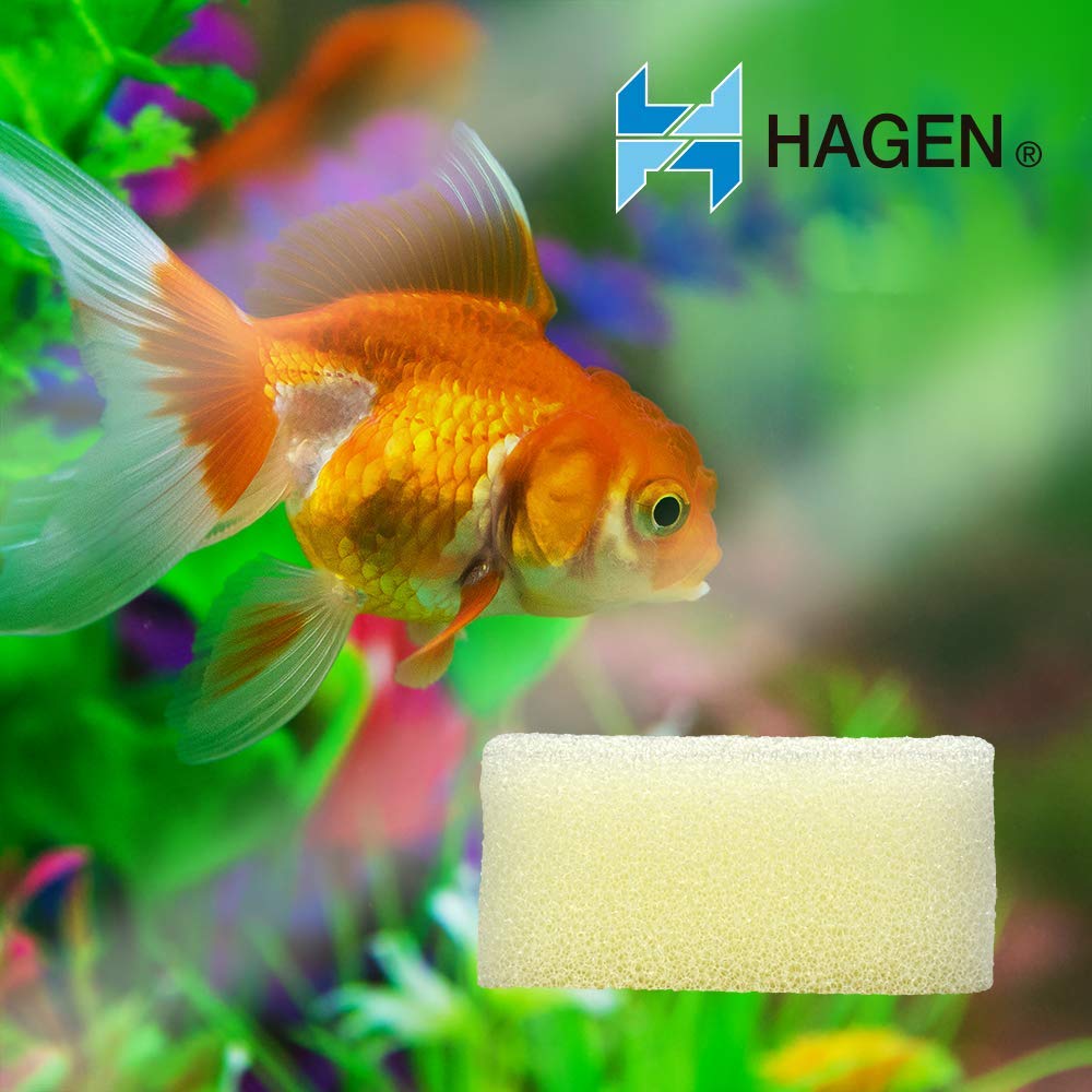 AquaClear 50 foam filter insert replacement pack highlights reusable media.