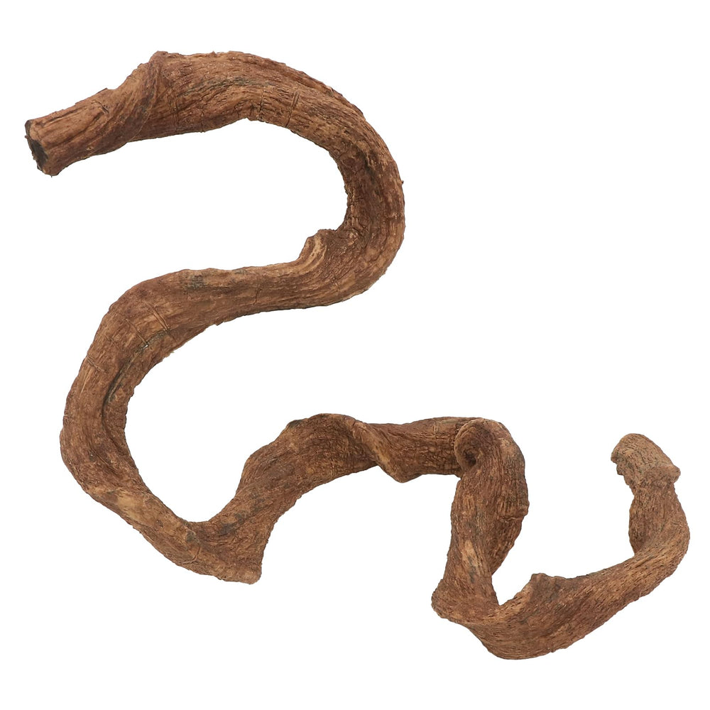 Aqua KT crested-gecko-twisted-vine offers elevated perches and hiding spots.