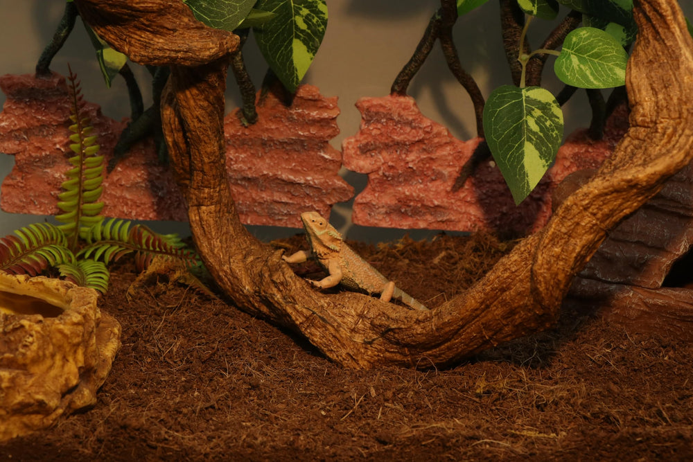 Aqua KT reptile-branch anti-slip surface supports stable grip for climbing sessions.