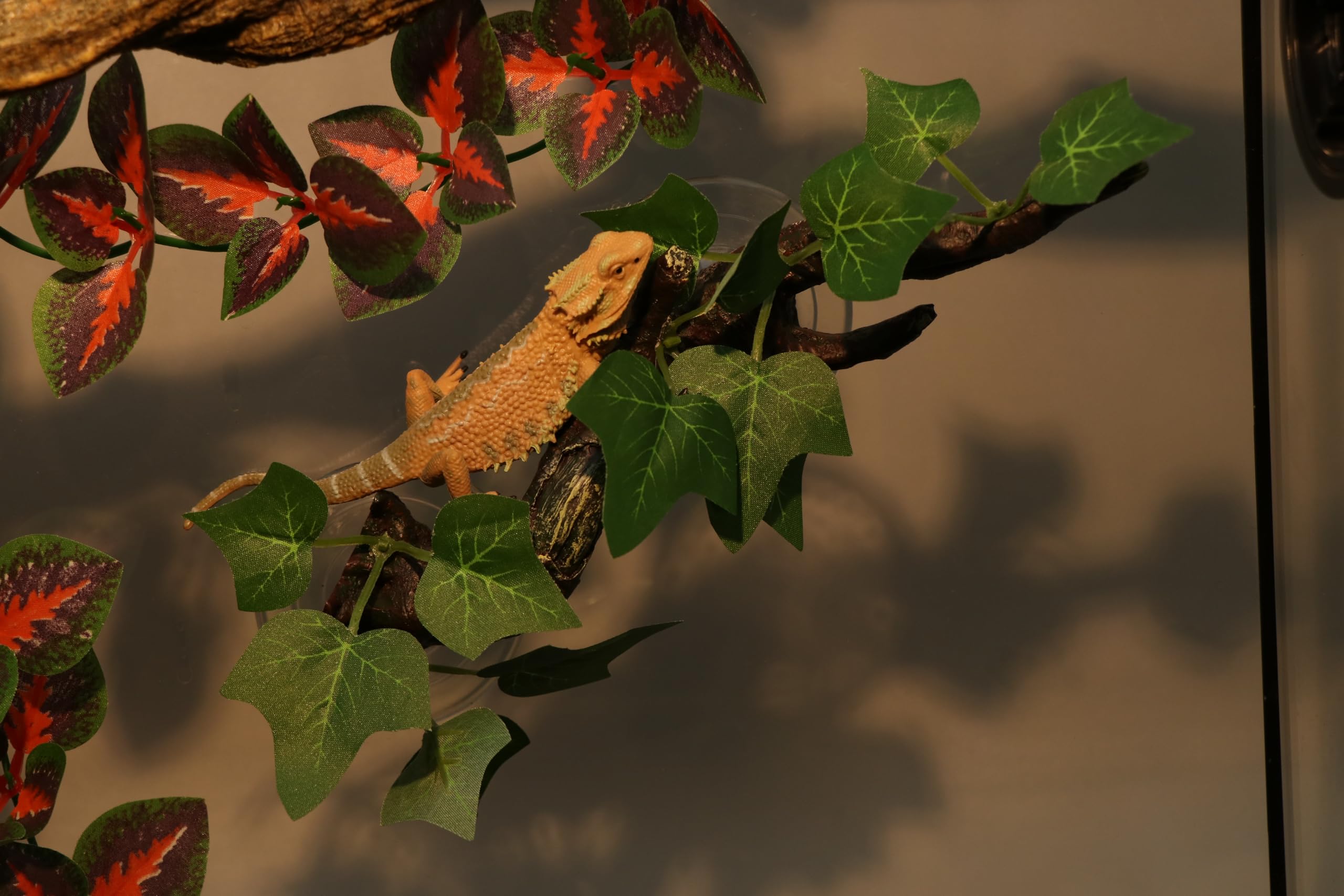AQUA KT Reptile Branch Climbing Feature invites natural exploration and exercise.