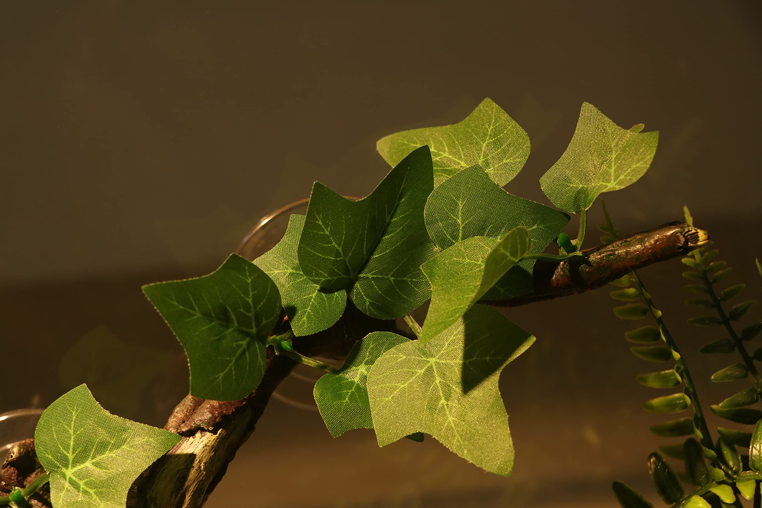 AQUA KT Reptile Branch Strong Suction mounts easily on smooth surfaces.