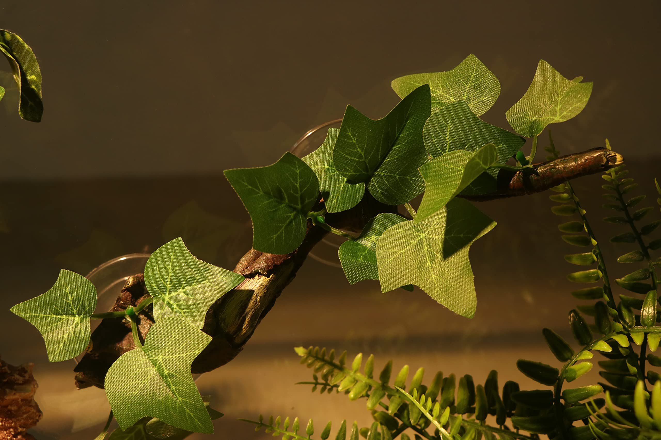 AQUA KT Reptile Branch Suction Base provides secure attachment to glass tanks.