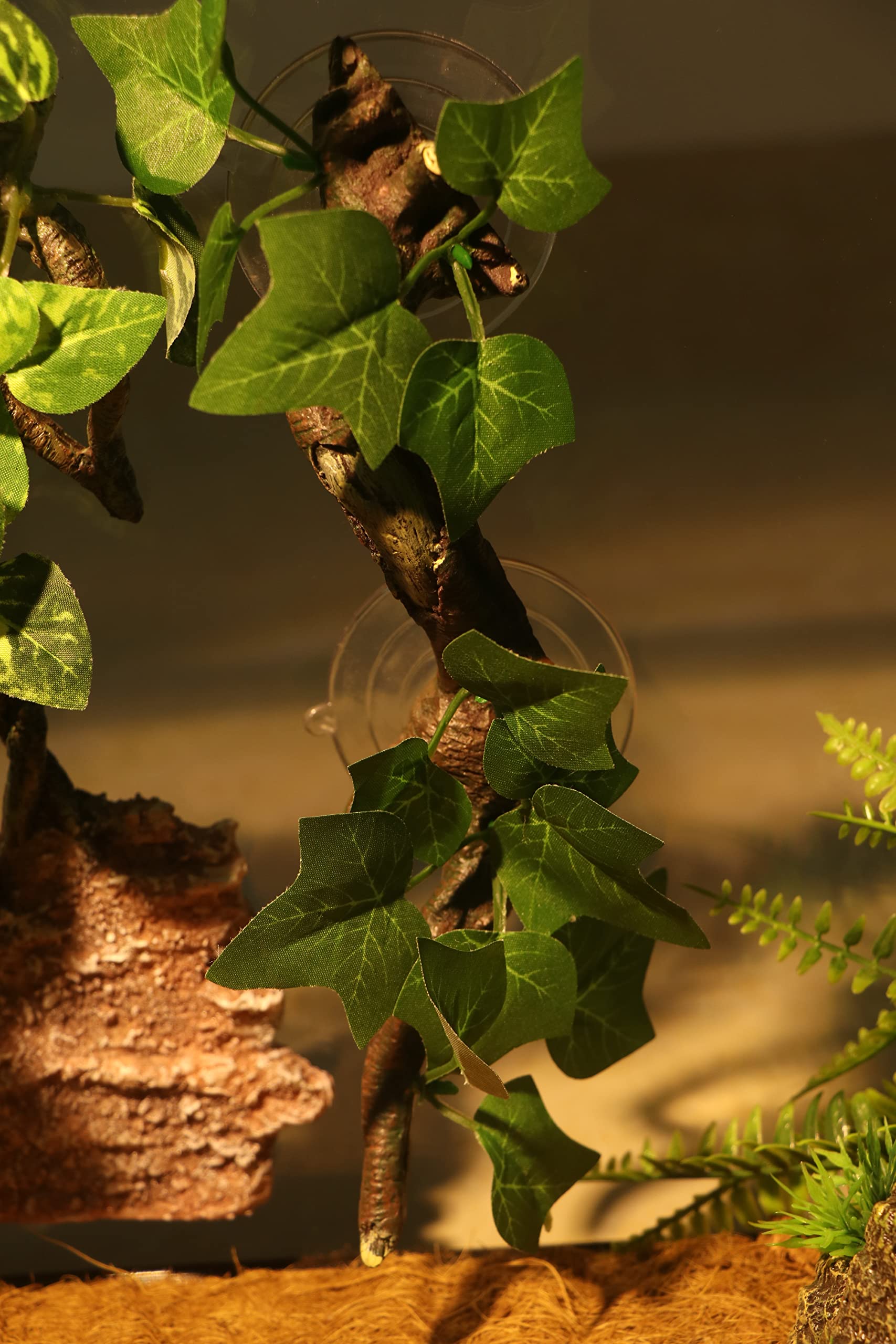 AQUA KT Corner Branch Setup helps create varied climbing routes.