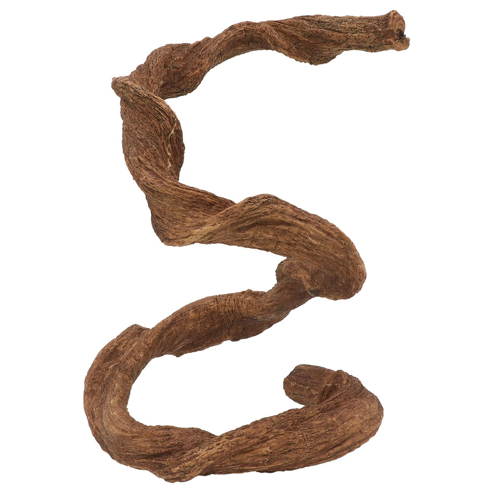 Aqua KT snake-climb-branch-vine provides naturalistic decor with secure support.
