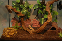 Aqua KT terrarium natural-look vine adds realistic landscape to habitat.