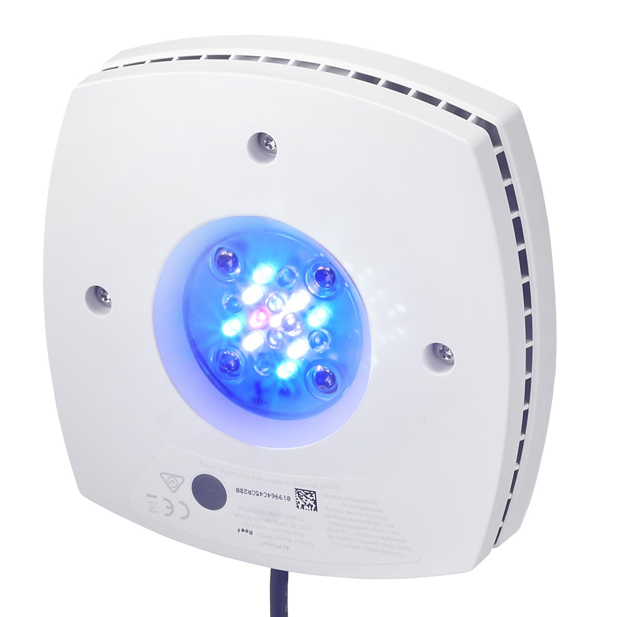 Prime 16 HD color-boosted spectrum highlights vivid coral fluorescence.