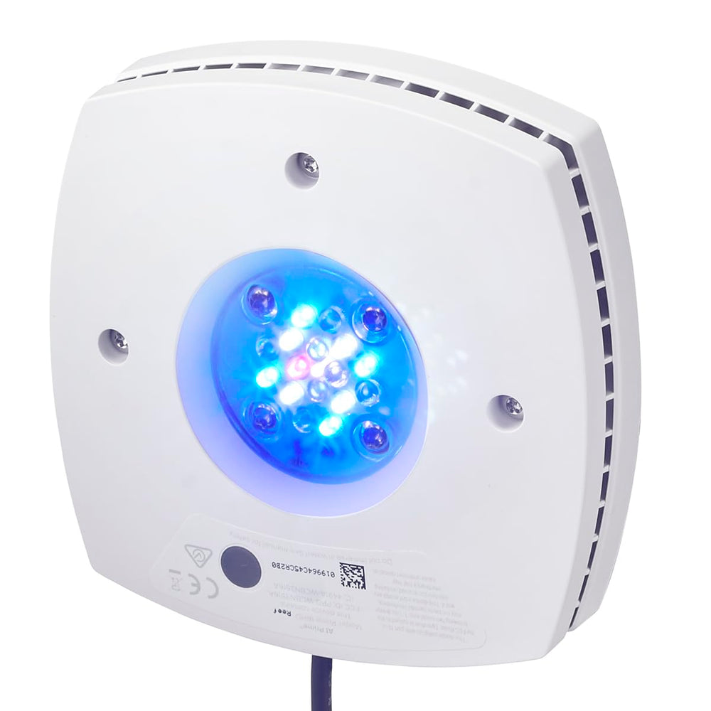 Prime 16 HD color-boosted spectrum highlights vivid coral fluorescence.