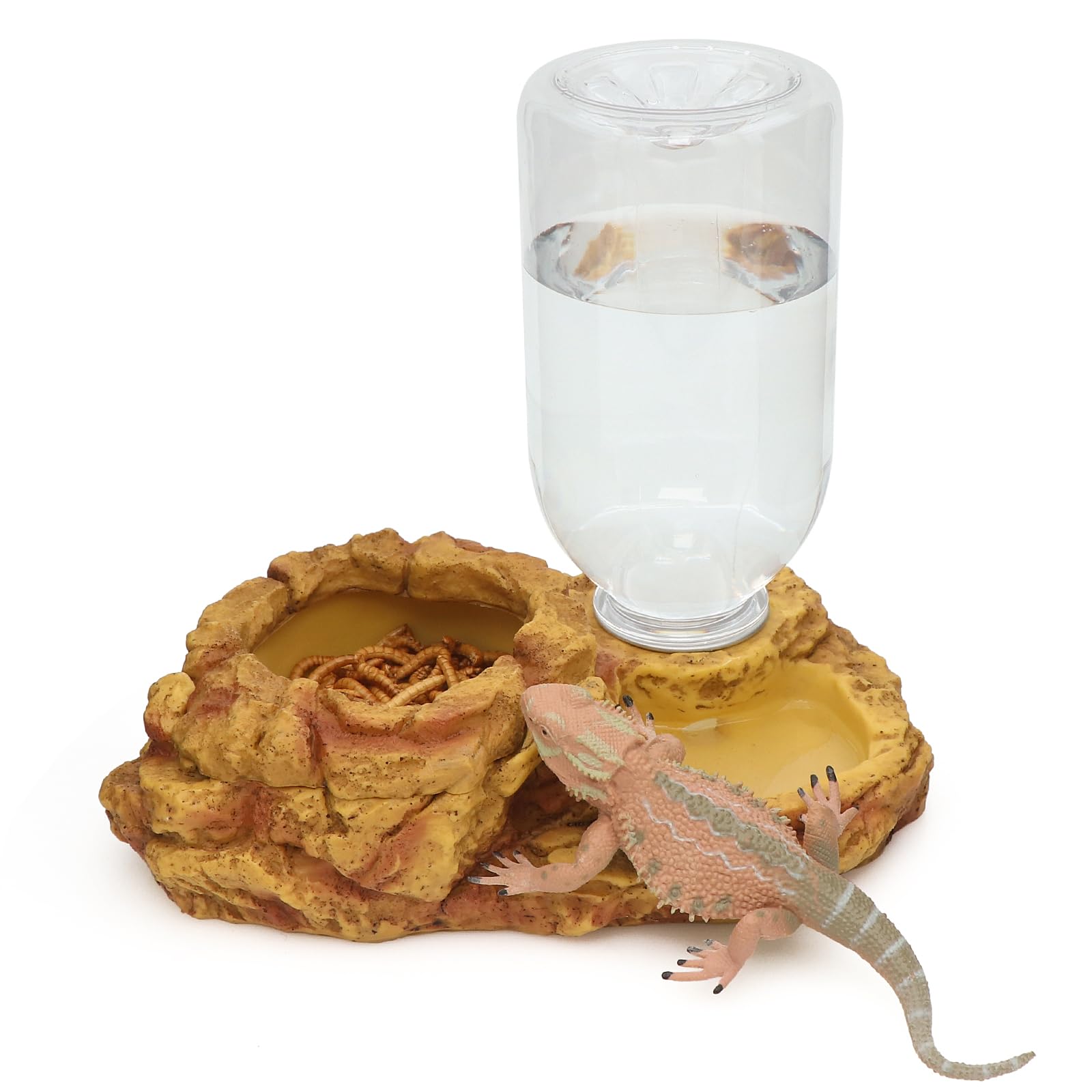 AQUA KT Bearded dragon feeding setup features easy-access bowl.