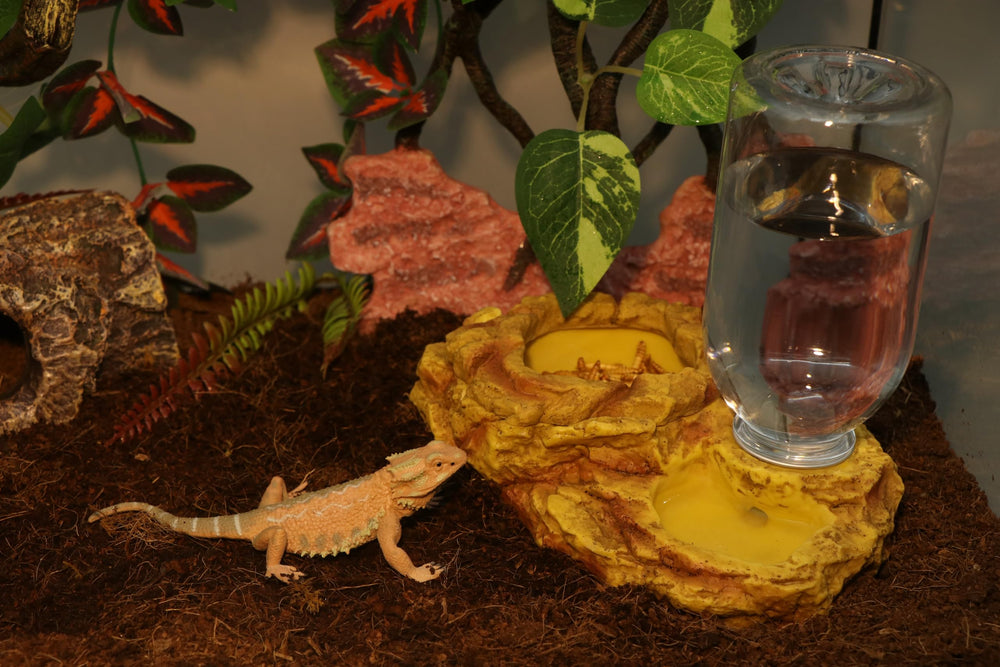 AQUA KT 2-in-1 feeder kit shows water storage and anti-escape bowl for tidy routines.