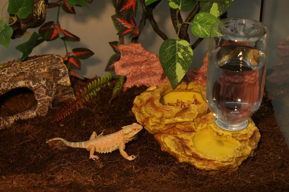 AQUA KT Reptile feeder kit keeps insects contained, making feeding cleaner and simpler.