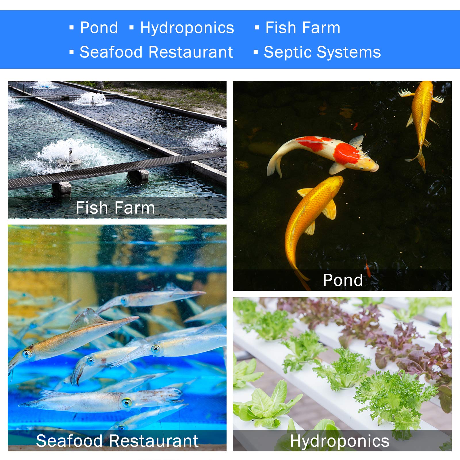 AquaMiracle AP40 in a pond setup delivering oxygen to fish and hydroponics roots.